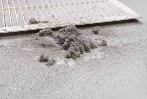 Best Air Vent Cleaning Services  in Dexter, GA